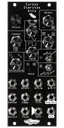 Cursus Iteritas Alia module in black with leaf icon. 7 knobs on top, two switches on the right, and jacks on the bottom.  Oscillator platform in 10HP | Noise Engineering