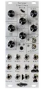 Cursus Iteritas Alia module in silver with leaf icon. 7 knobs on top, two switches on the right, and jacks on the bottom.  Oscillator platform in 10HP | Noise Engineering