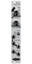 Sinc Bucina resonant lowpass gate silver Eurorack module with industrial art with two knobs, LEDs, and a switch at top and jacks at bottom | Noise Engineering